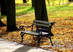 Plenty of open spaces and parks that our movers Ramsey NJ are also familiar with.