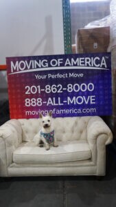 Corporate Movers and Packers