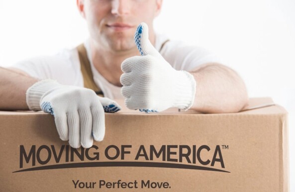 White Glove Mover Thumbs Up 2000 X 1300