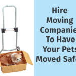 hire-moving-companies-to-have-your-pets-1