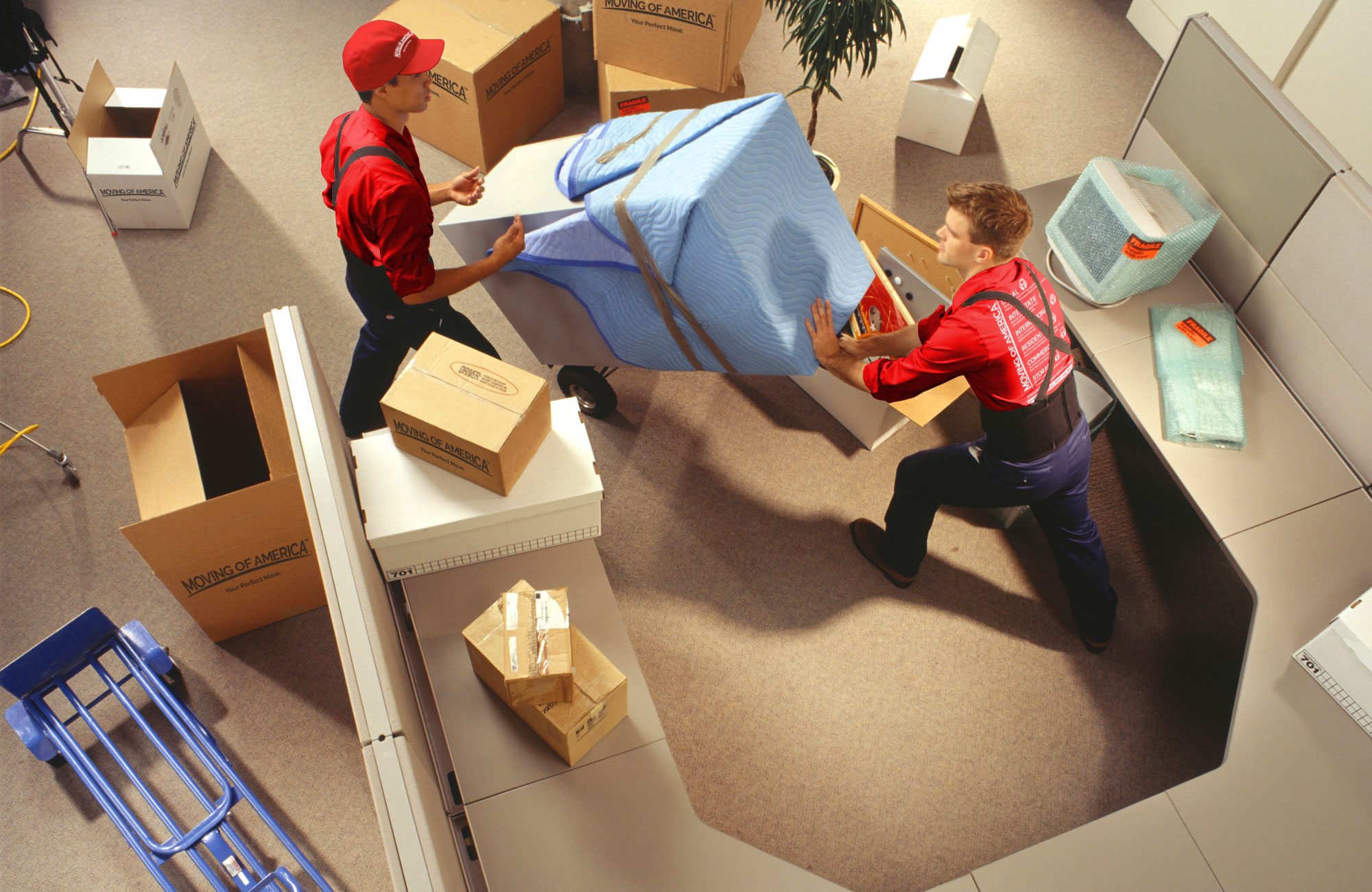 What Services Do Our Kinnelon Movers Provide To Make Your Transition Smooth?