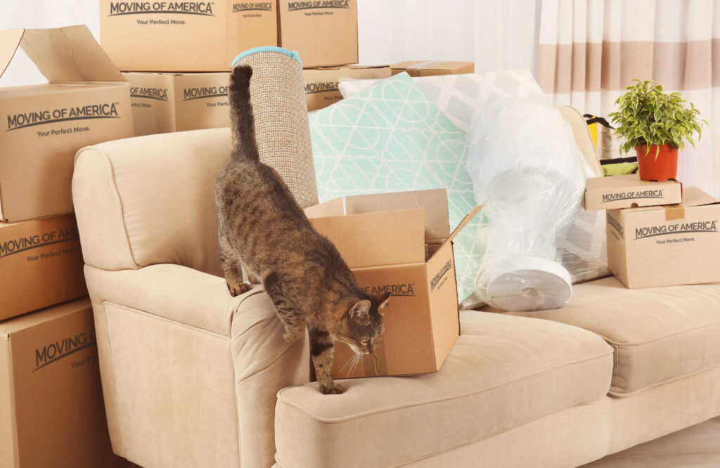 Moving-with-Pets-Left-Side-Your-Move-Done-Right