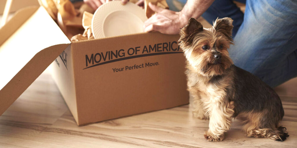 Moving-with-pets-Setting-Up-Your-New-Place-1000-X-2000