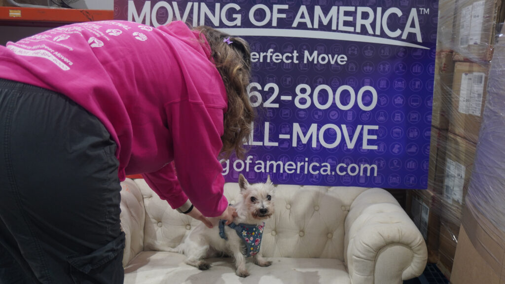 Moving of America sharing tips for safely relocating pets during a household move.