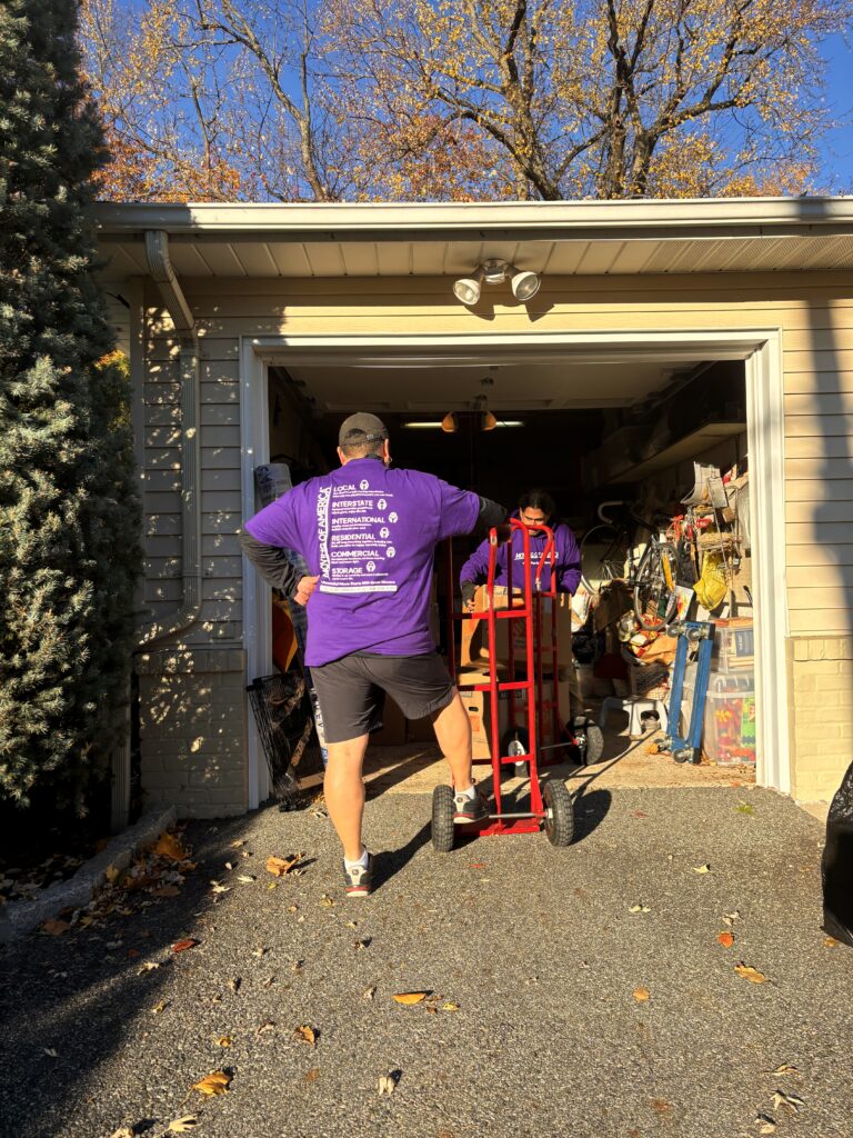 professional movers in Palisades Park, NJ