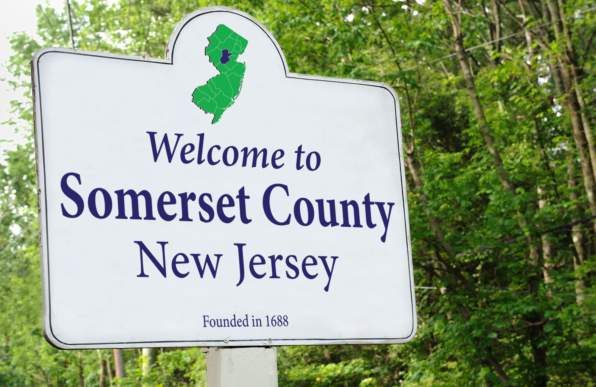 Somerset County Left side We Move Everyone Everything Everywhere 2000 X 1300